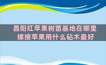 昌阳红苹果树苗基地在哪里 嫁接苹果用什么砧木最好